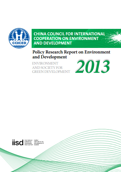 Annual Policy Report 2013