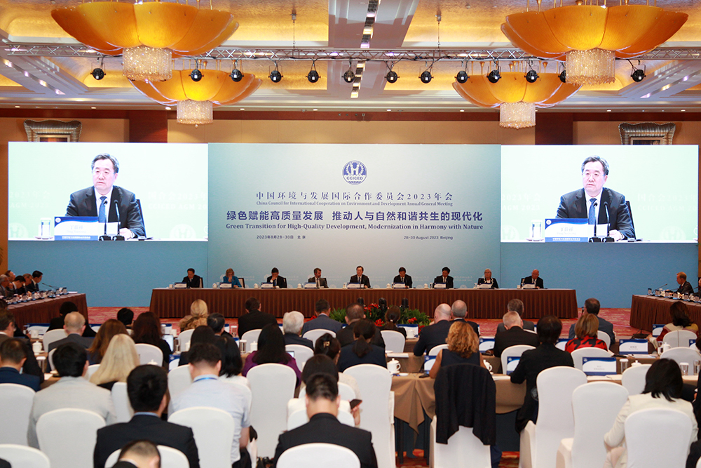 0.-国务院副总理、国合会主席丁薛祥出席年会闭幕式并发表重要讲话.jpg