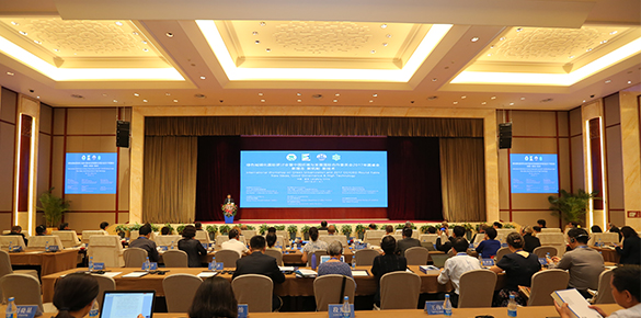 绿色城镇化国际研讨会暨中国环境与发展国际合作委员会2017年圆桌会“新理念 新机制 新技术”专家风采