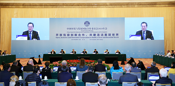 丁薛祥出席中国环境与发展国际合作委员会2024年年会并讲话